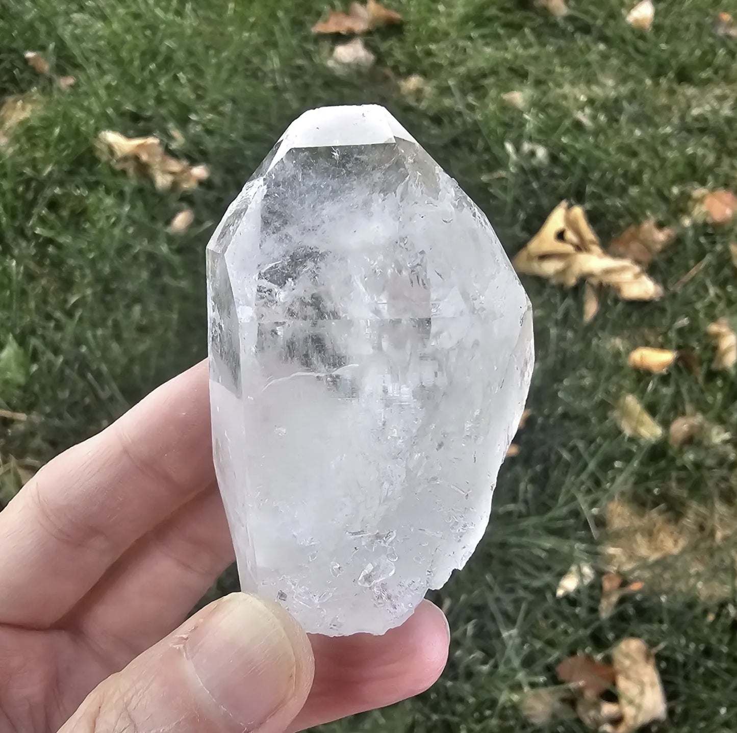 Colombian Lemurian quartz point front view, natural raw crystal