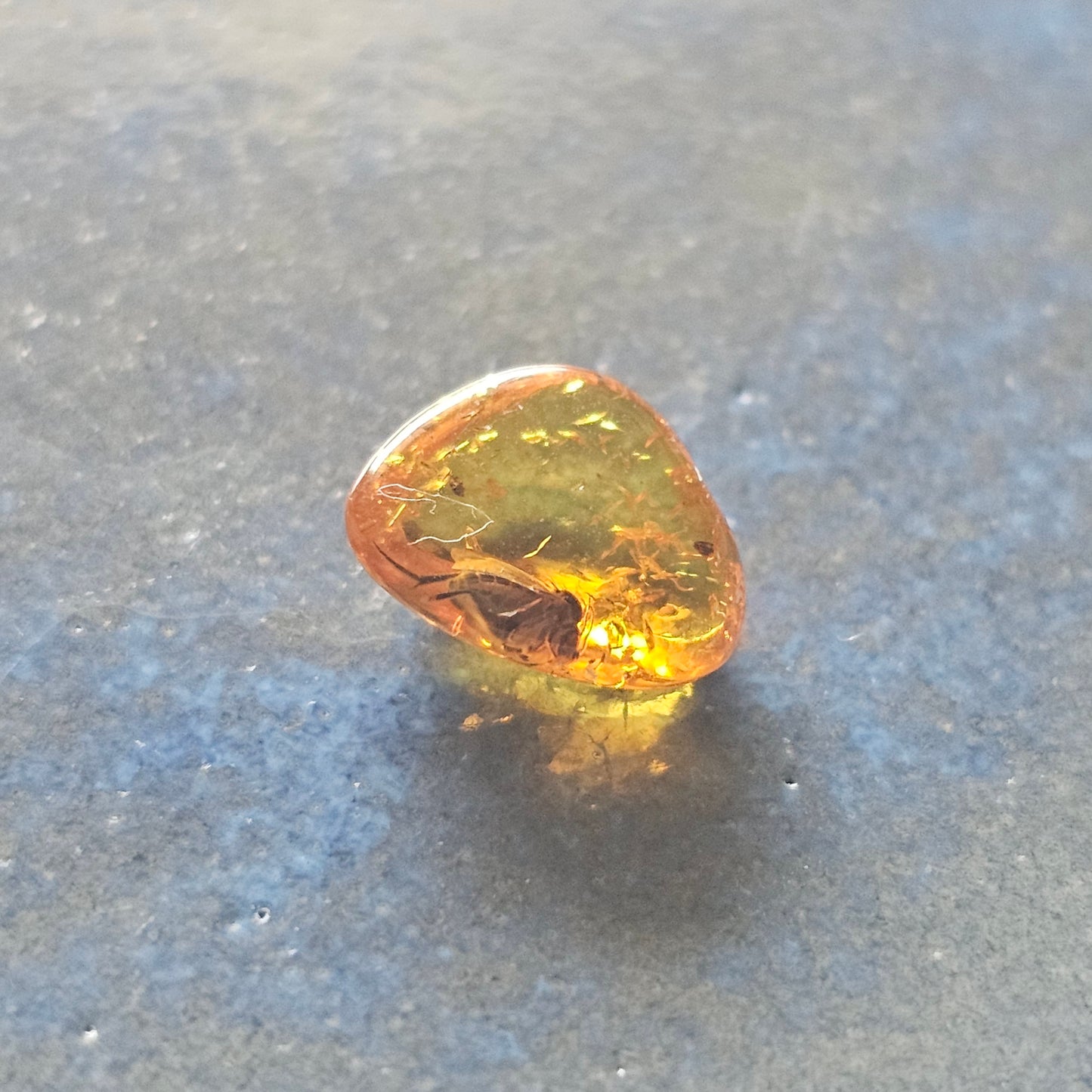 Genuine Baltic Amber with Fossilized Insect from Poland