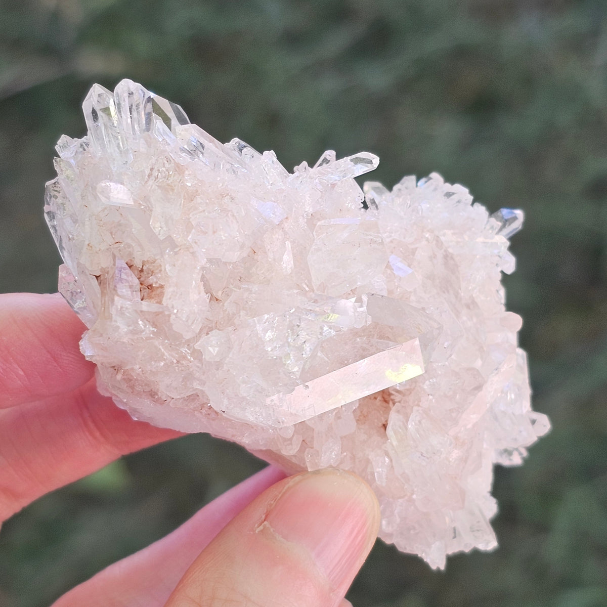 Colombian Pink Lemurian Seed Quartz Cluster 95g