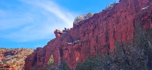 New Mexico Shamanic Journey