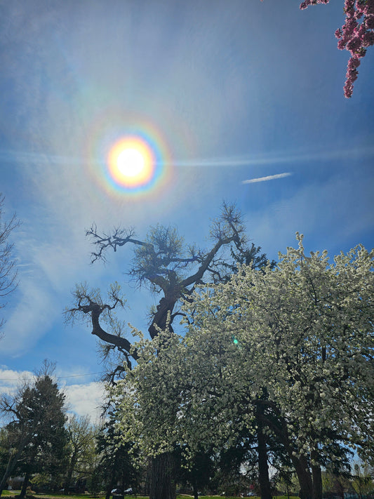Libra Full Moon Energy Report