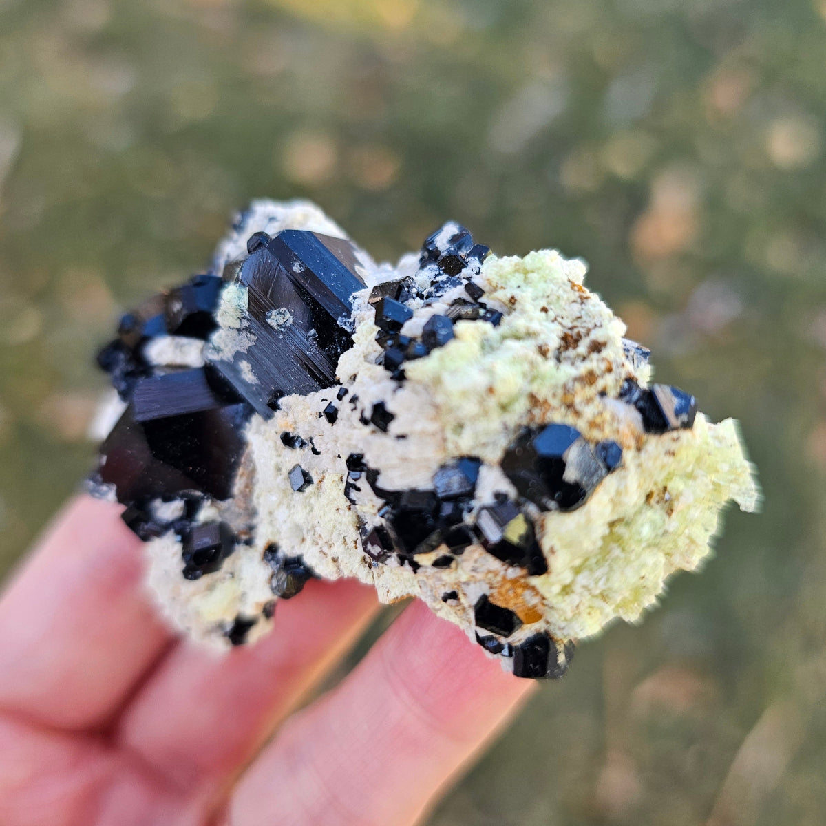 Mineral specimen held in hand with a blurred natural background