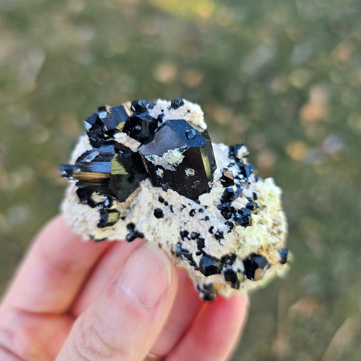 Mineral specimen held in a hand with a blurred natural background