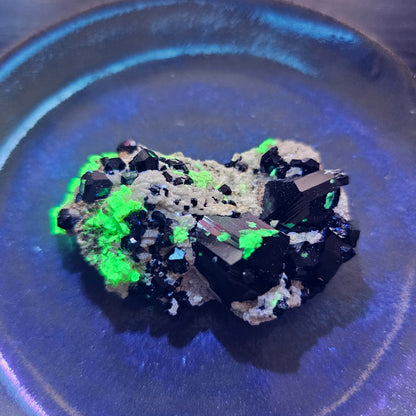 Mineral sample with green and black crystals on a blue reflective surface