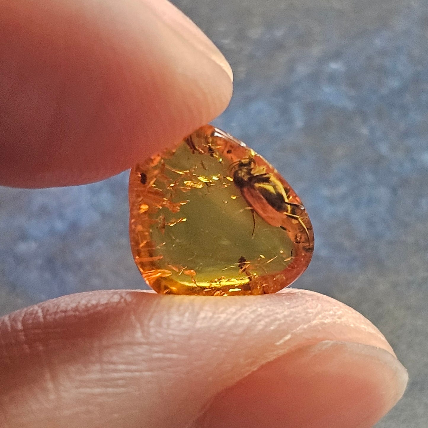 Genuine Baltic Amber with Fossilized Insect from Poland