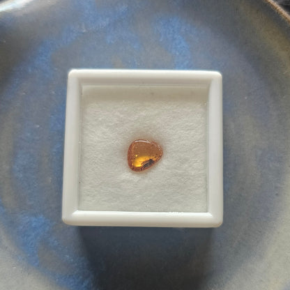 Genuine Baltic Amber with Fossilized Insect from Poland