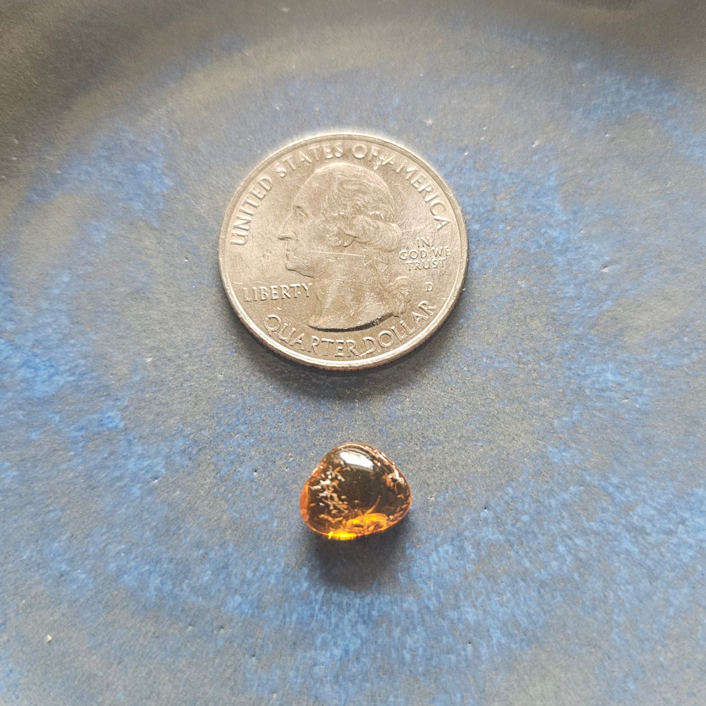 Genuine Baltic Amber with Fossilized Insect from Poland
