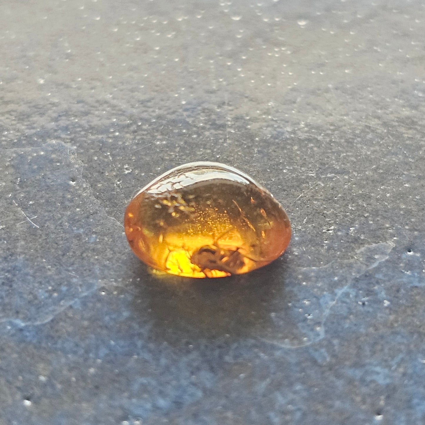 Genuine Baltic Amber with Fossilized Insect from Poland