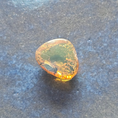 Genuine Baltic Amber with Fossilized Insect from Poland