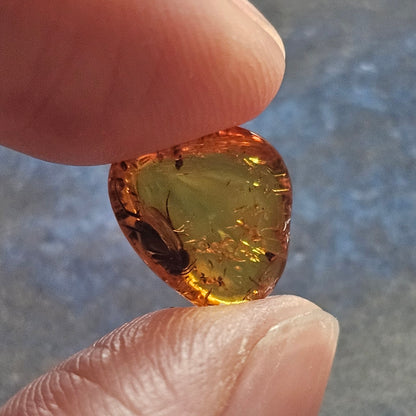 Genuine Baltic Amber with Fossilized Insect from Poland