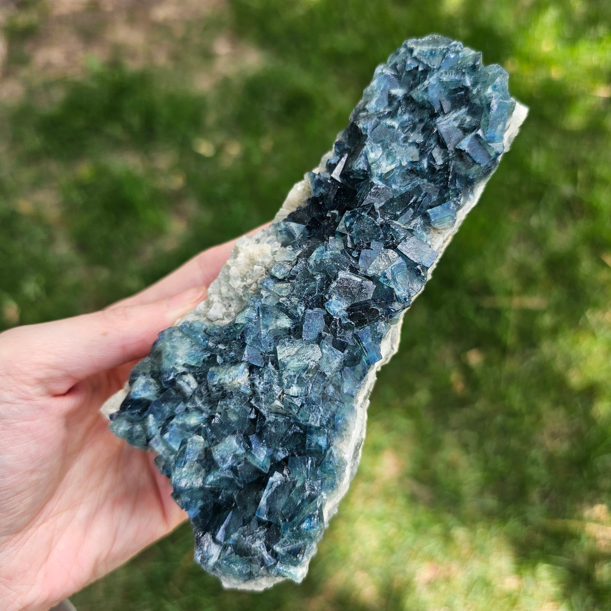 A 425g Madagascar Green Fluorite cube cluster displaying a vibrant, deep blue-purple fluorescence color change under a long-wave UV light source.