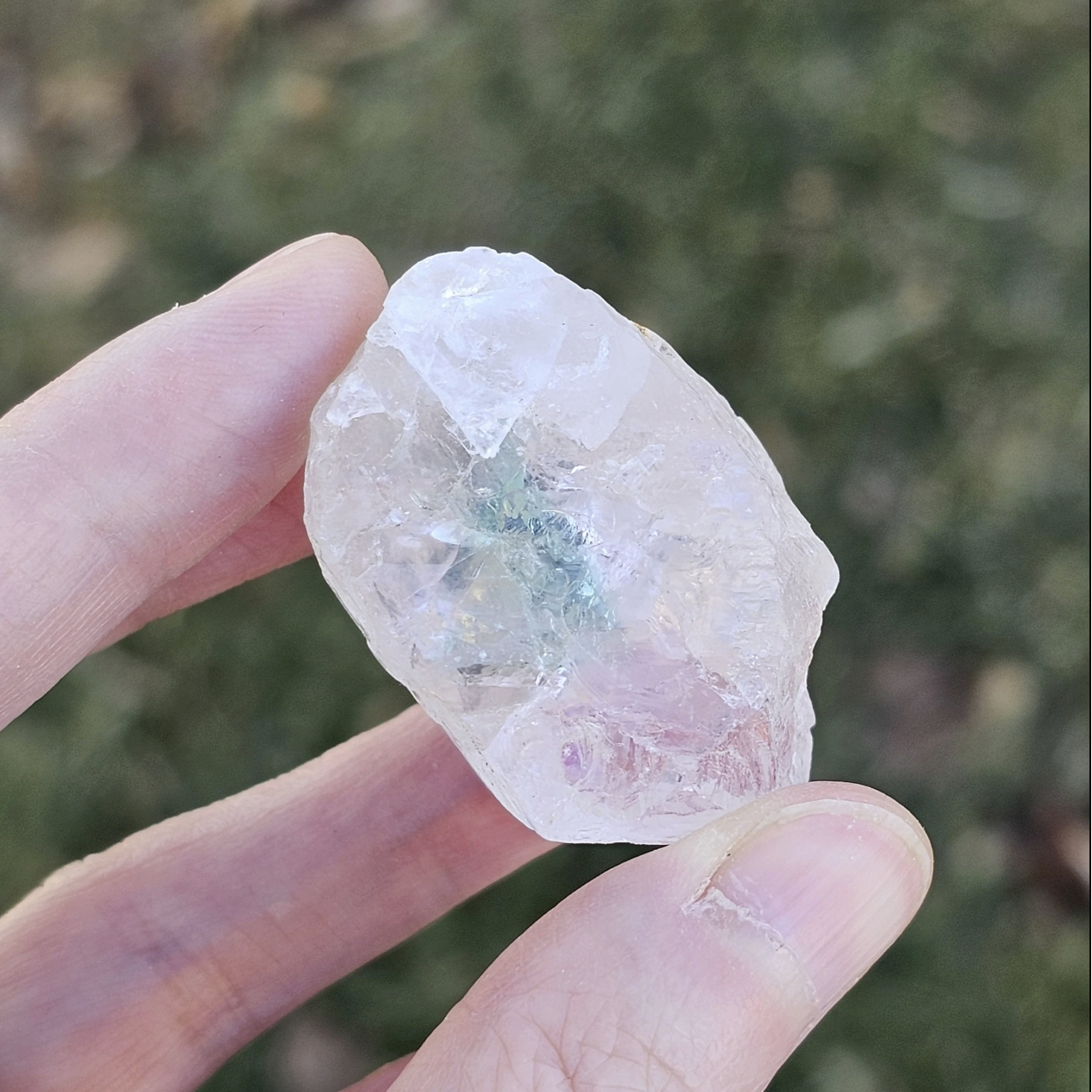Hand holding a clear crystal with green inclusions against a blurred natural background