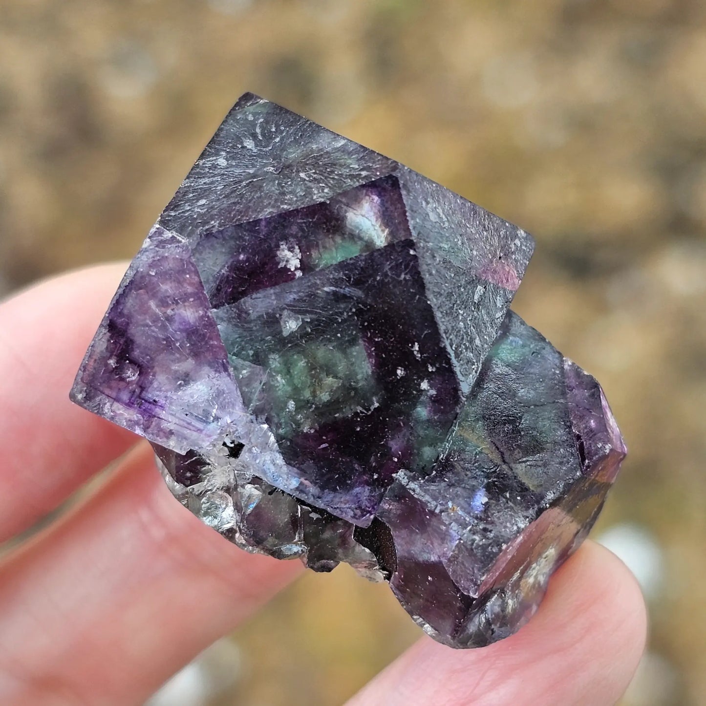 Close-up of an Alien Eye Fluorite specimen from Erongo, Namibia, showing a 1.5 inch twin crystal with deep green and purple aurora-like phantom zones.