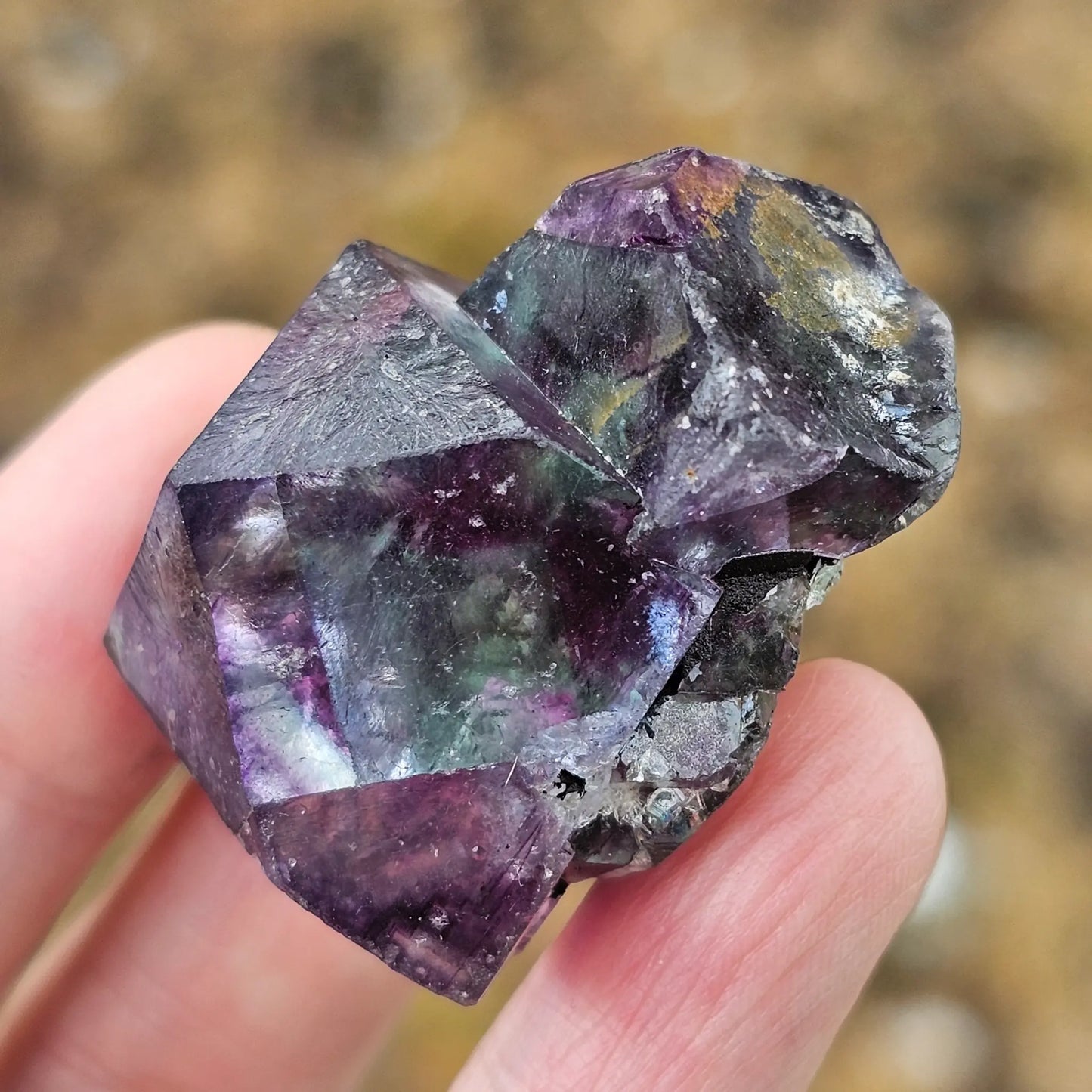 Close-up of an Alien Eye Fluorite specimen from Erongo, Namibia, showing a 1.5 inch twin crystal with deep green and purple aurora-like phantom zones.