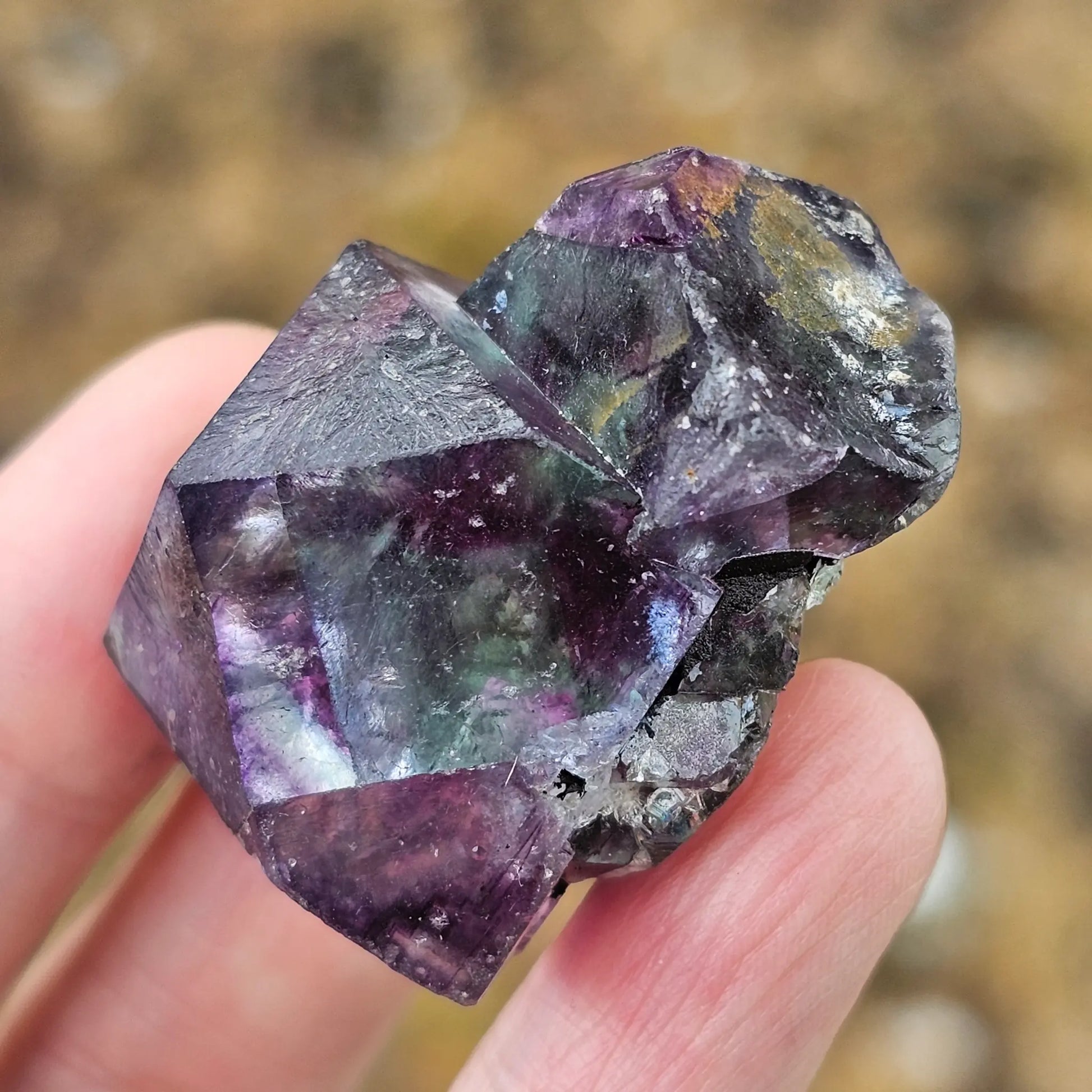 Close-up of an Alien Eye Fluorite specimen from Erongo, Namibia, showing a 1.5 inch twin crystal with deep green and purple aurora-like phantom zones.