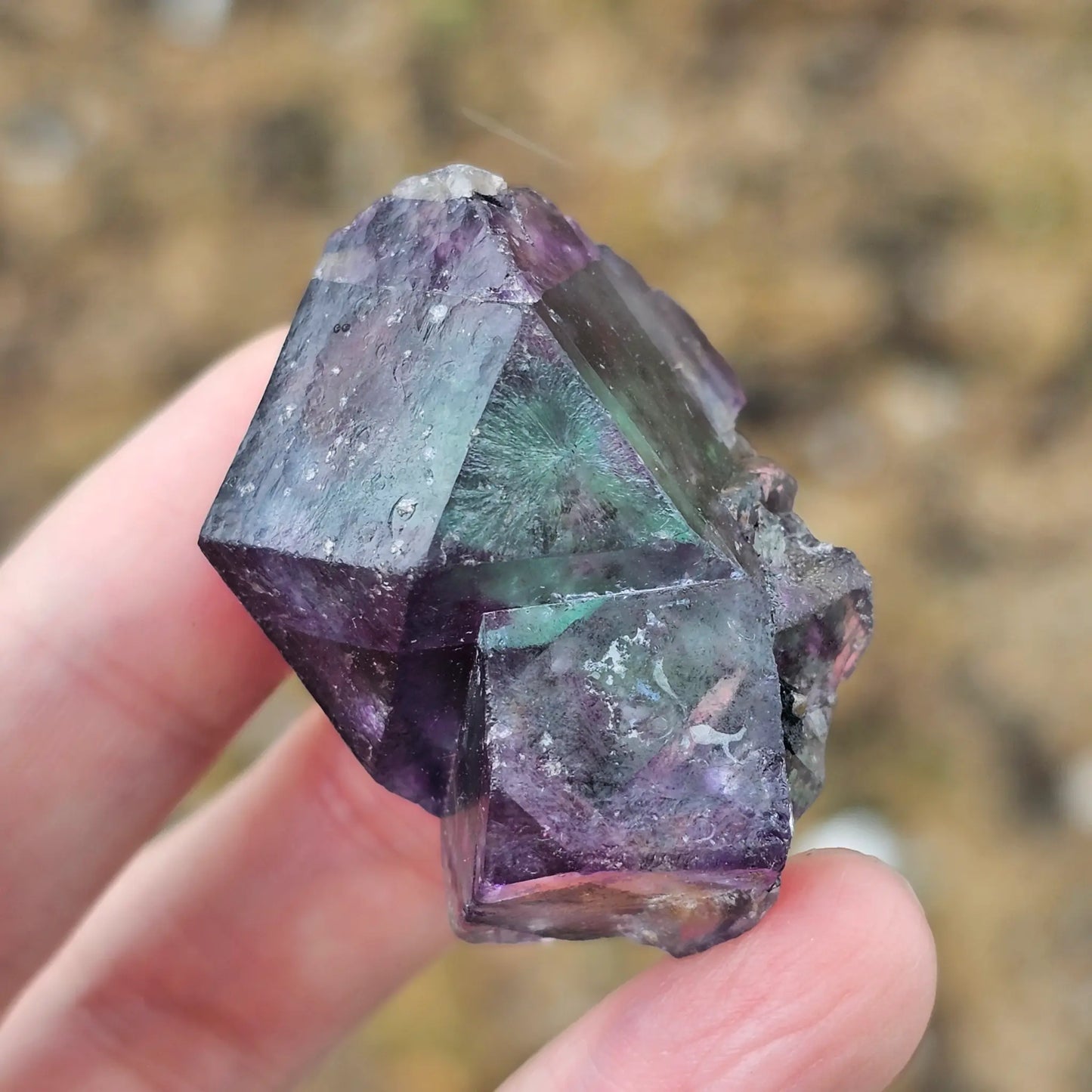Close-up of an Alien Eye Fluorite specimen from Erongo, Namibia, showing a 1.5 inch twin crystal with deep green and purple aurora-like phantom zones.