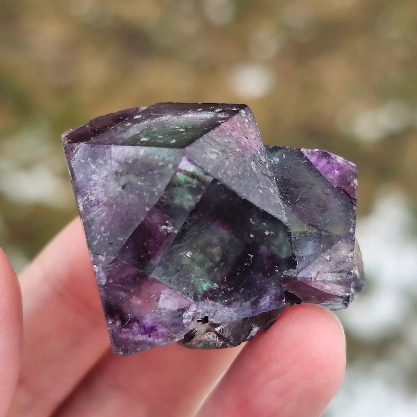 Close-up of an Alien Eye Fluorite specimen from Erongo, Namibia, showing a 1.5 inch twin crystal with deep green and purple aurora-like phantom zones.