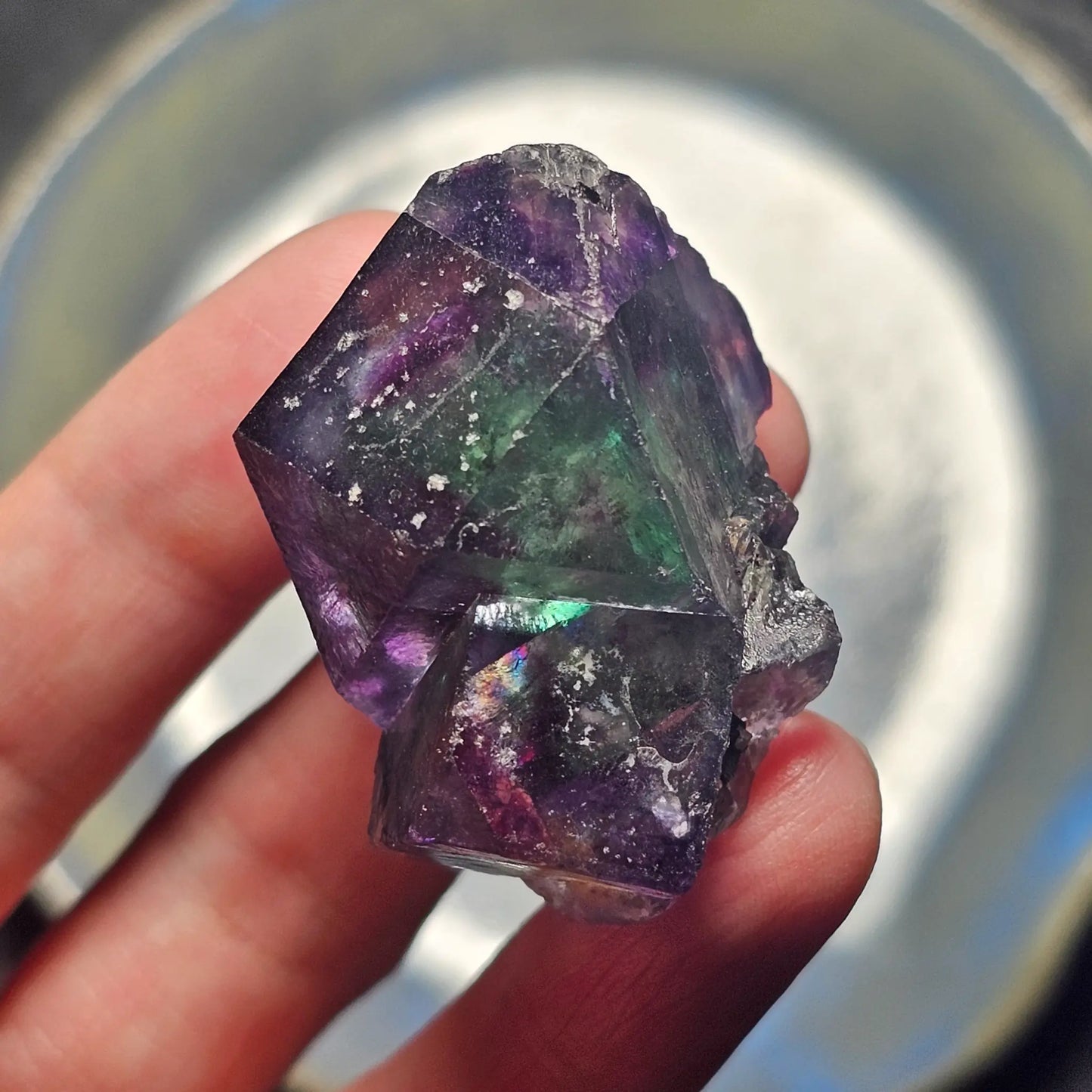 Close-up of an Alien Eye Fluorite specimen from Erongo, Namibia, showing a 1.5 inch twin crystal with deep green and purple aurora-like phantom zones.