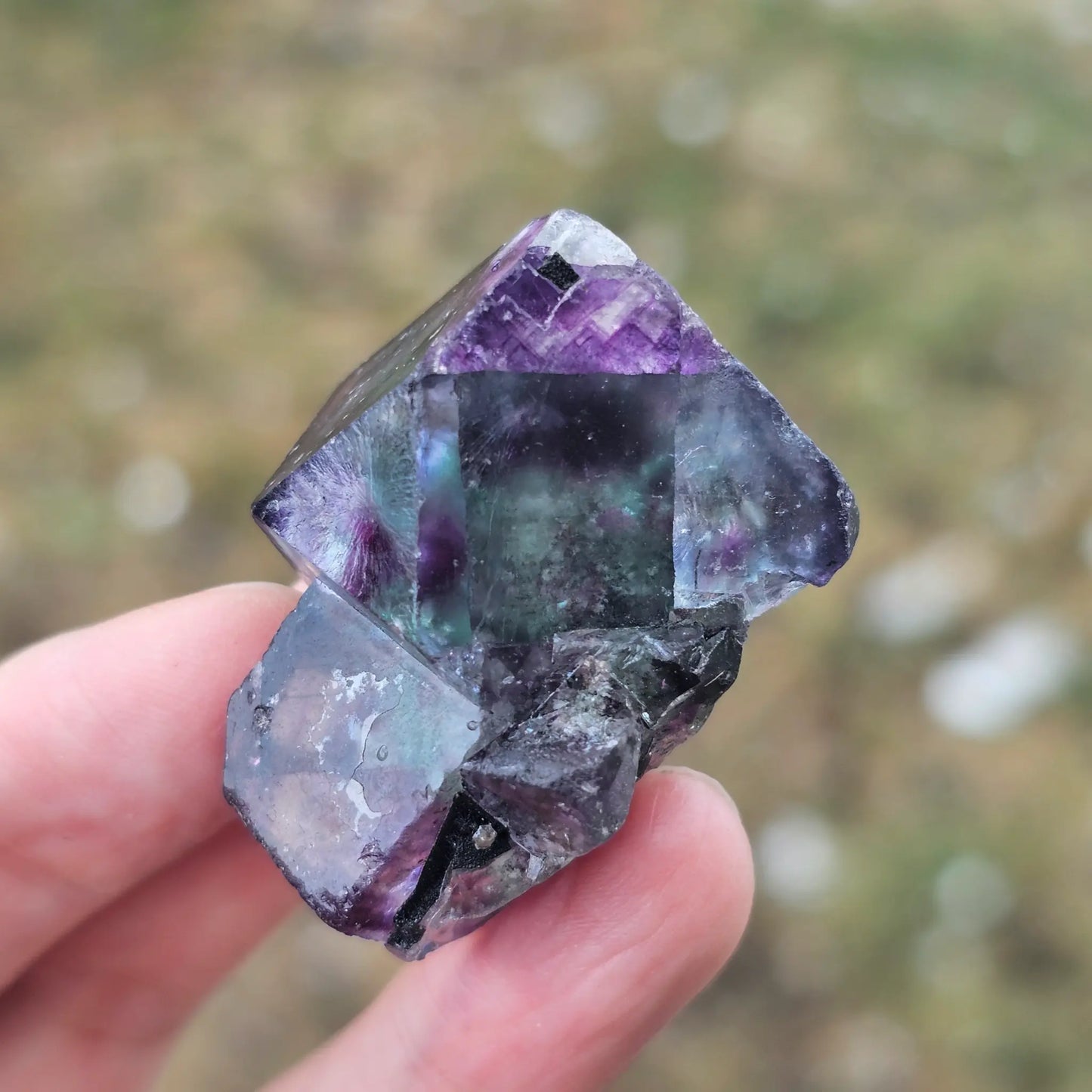 Close-up of an Alien Eye Fluorite specimen from Erongo, Namibia, showing a 1.5 inch twin crystal with deep green and purple aurora-like phantom zones.