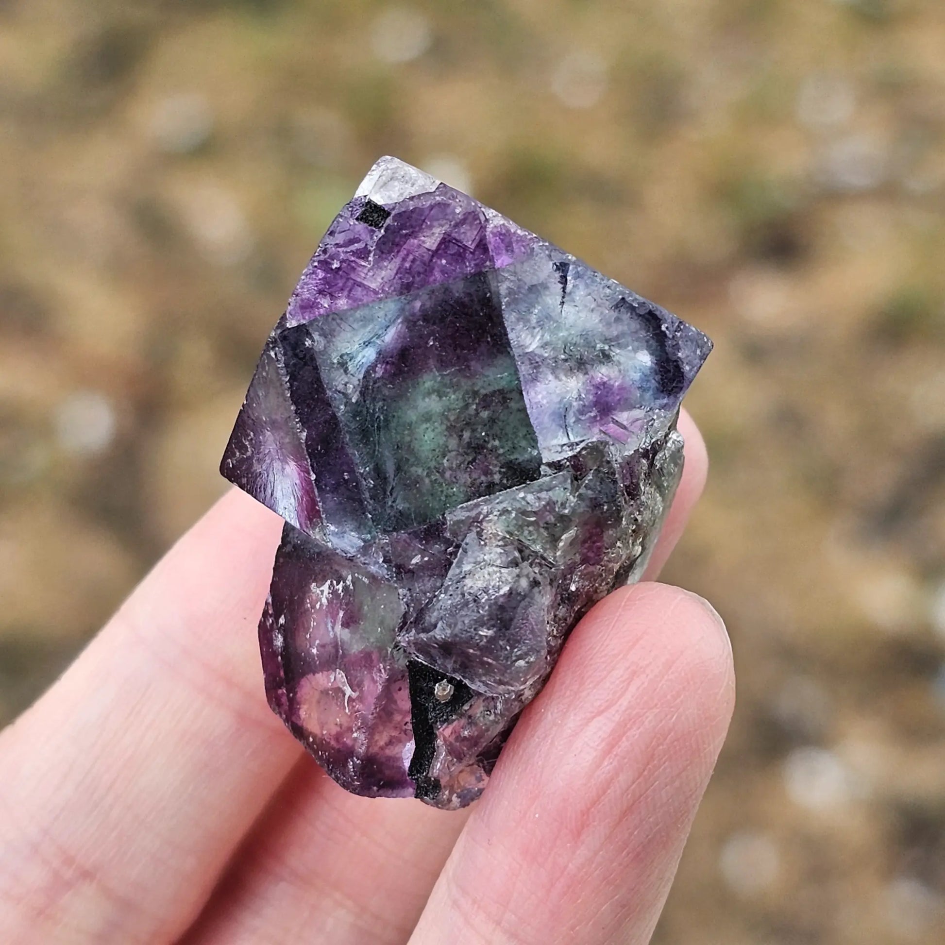 Close-up of an Alien Eye Fluorite specimen from Erongo, Namibia, showing a 1.5 inch twin crystal with deep green and purple aurora-like phantom zones.