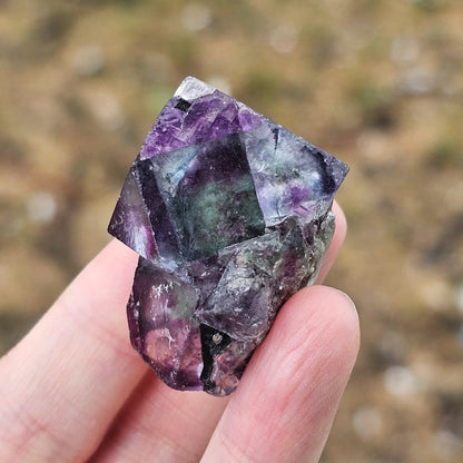 Close-up of an Alien Eye Fluorite specimen from Erongo, Namibia, showing a 1.5 inch twin crystal with deep green and purple aurora-like phantom zones.