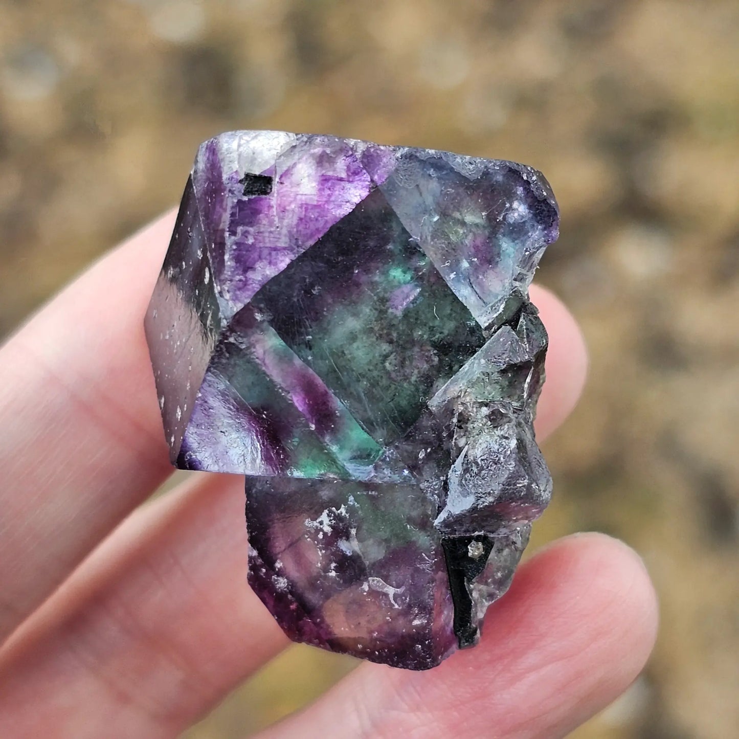 Close-up of an Alien Eye Fluorite specimen from Erongo, Namibia, showing a 1.5 inch twin crystal with deep green and purple aurora-like phantom zones.