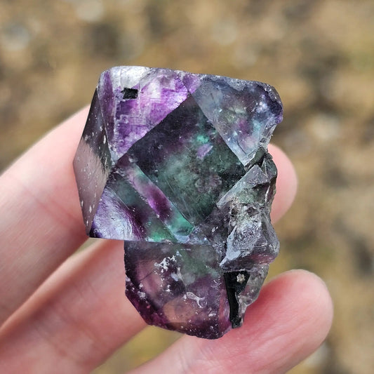Close-up of an Alien Eye Fluorite specimen from Erongo, Namibia, showing a 1.5 inch twin crystal with deep green and purple aurora-like phantom zones.