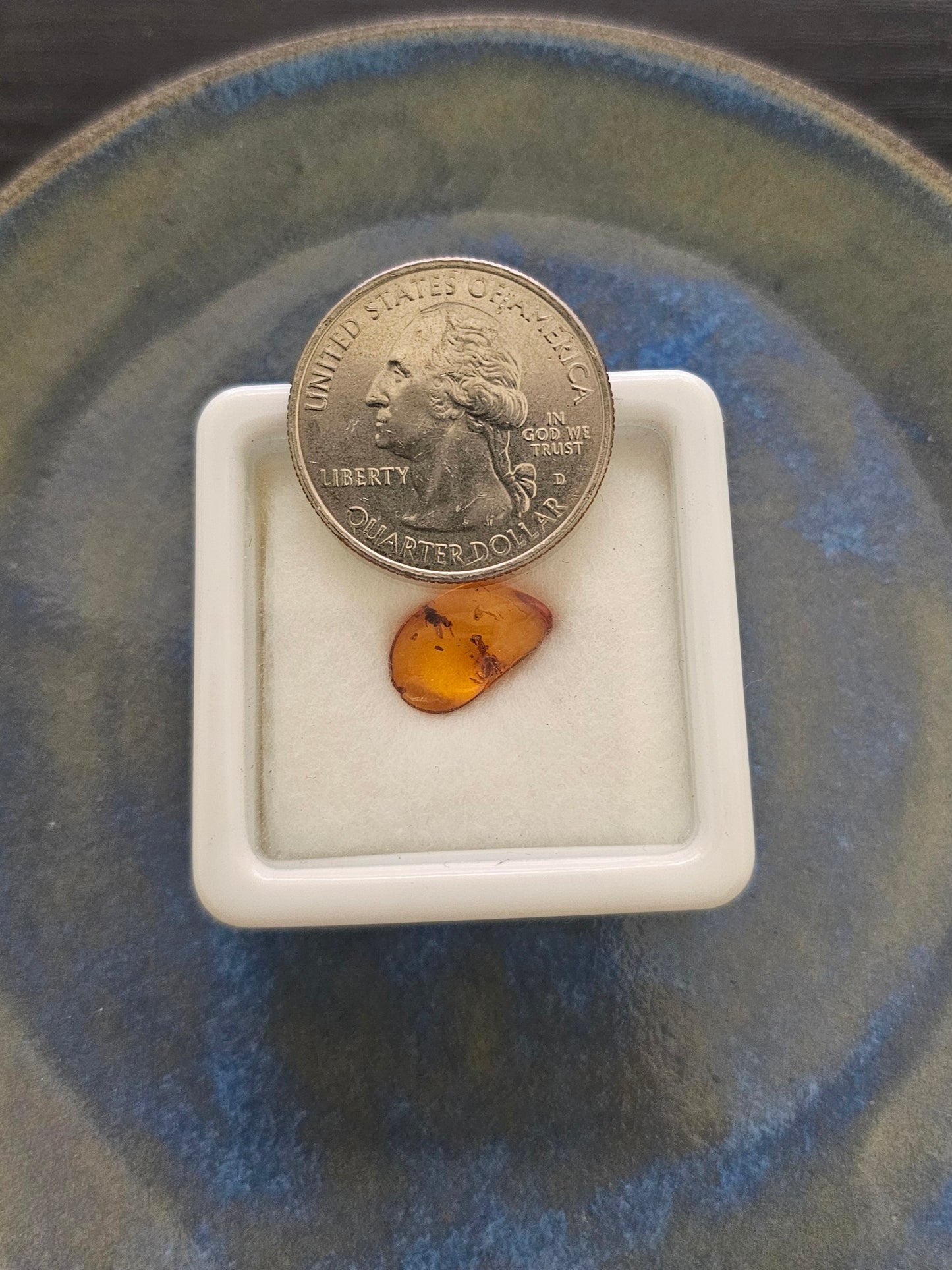 Baltic amber fossil specimen next to a US quarter coin for size comparison, approximately 0.75 inches