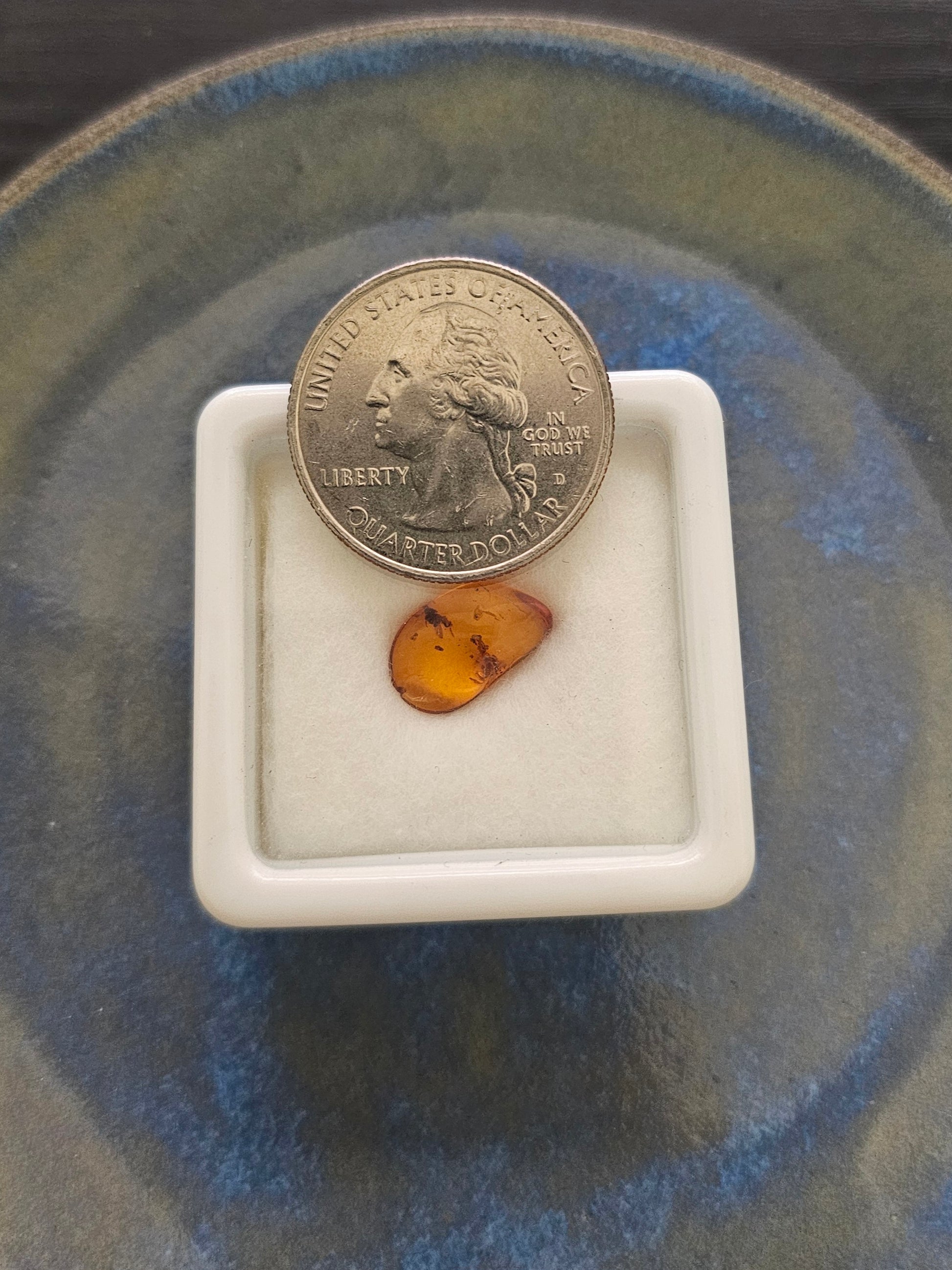 Baltic amber fossil specimen next to a US quarter coin for size comparison, approximately 0.75 inches