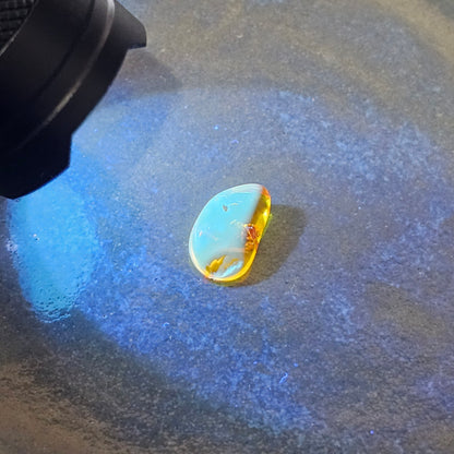 Genuine Baltic amber fluorescing soft blue under UV light, an authenticity test for natural succinite