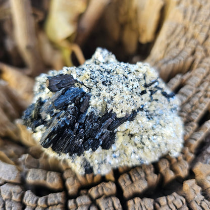A high-quality raw mineral specimen featuring jet-black Schorl Tourmaline crystals with distinct vertical striations embedded in a textured white Hyalite Opal matrix from Erongo, Namibia.