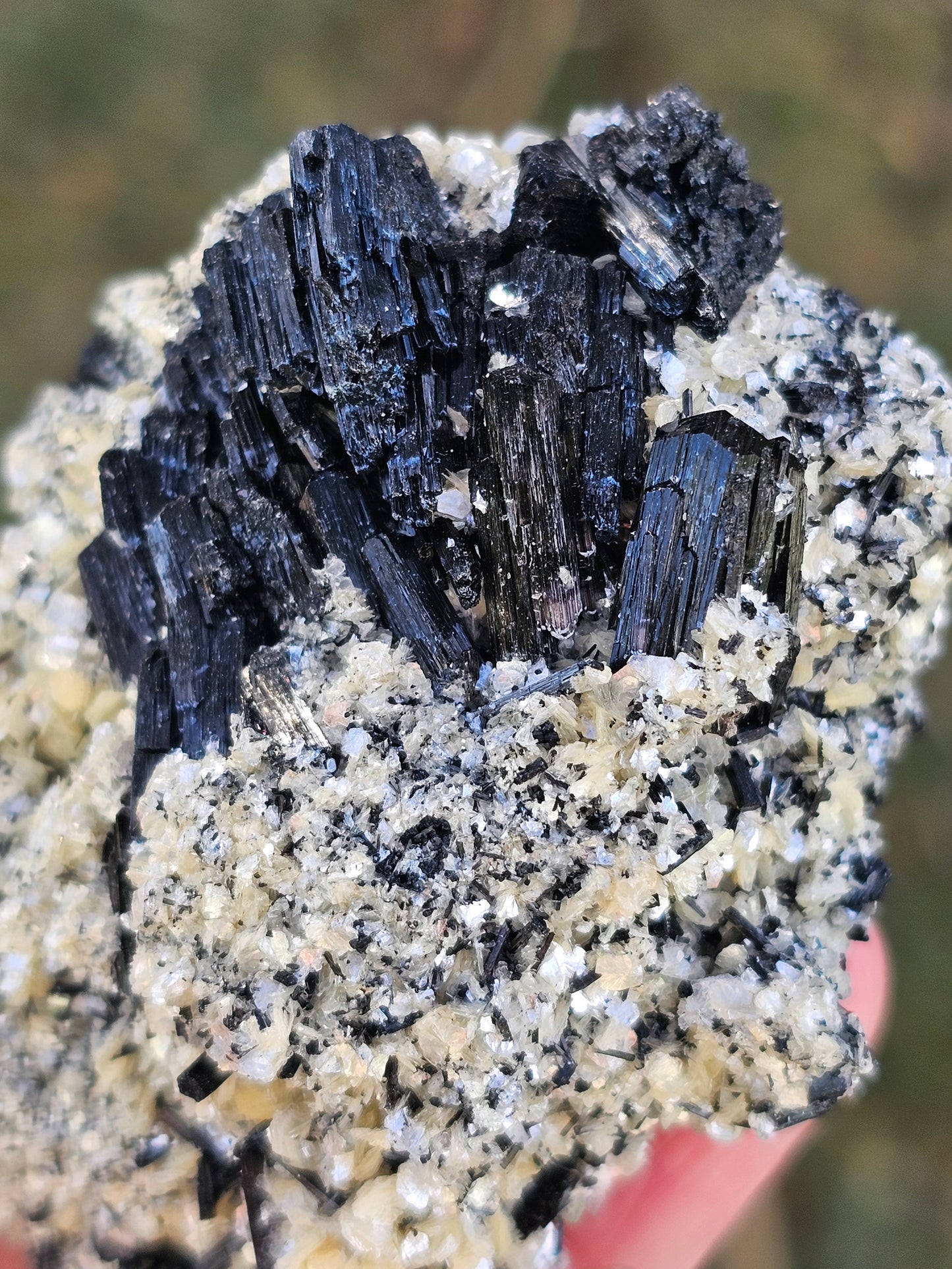 A high-quality raw mineral specimen featuring jet-black Schorl Tourmaline crystals with distinct vertical striations embedded in a textured white Hyalite Opal matrix from Erongo, Namibia.