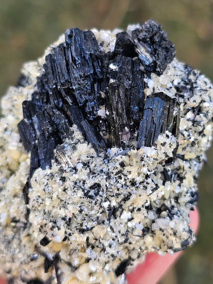 A high-quality raw mineral specimen featuring jet-black Schorl Tourmaline crystals with distinct vertical striations embedded in a textured white Hyalite Opal matrix from Erongo, Namibia.