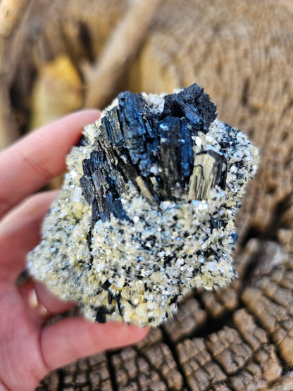 A high-quality raw mineral specimen featuring jet-black Schorl Tourmaline crystals with distinct vertical striations embedded in a textured white Hyalite Opal matrix from Erongo, Namibia.