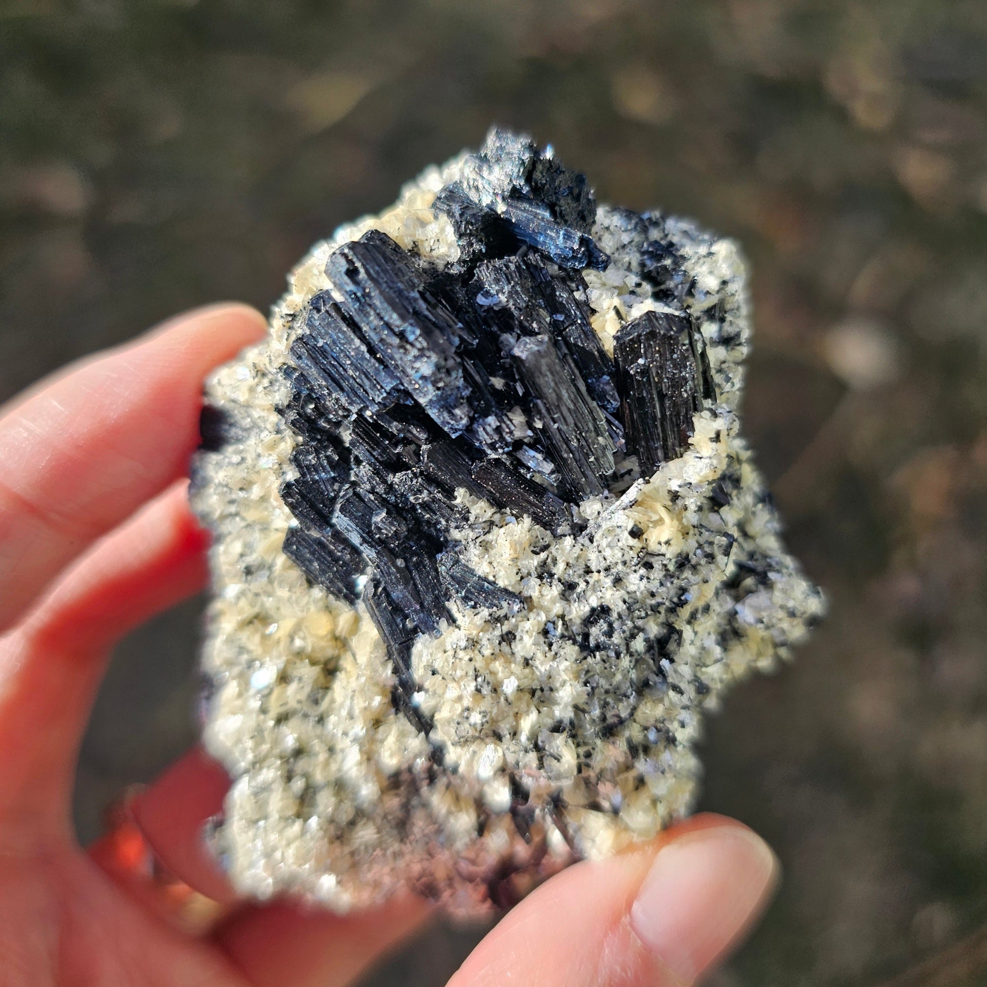 A high-quality raw mineral specimen featuring jet-black Schorl Tourmaline crystals with distinct vertical striations embedded in a textured white Hyalite Opal matrix from Erongo, Namibia.