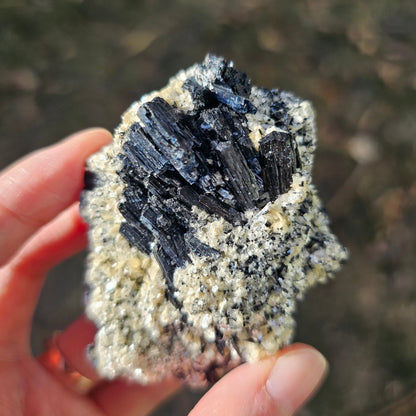 A high-quality raw mineral specimen featuring jet-black Schorl Tourmaline crystals with distinct vertical striations embedded in a textured white Hyalite Opal matrix from Erongo, Namibia.