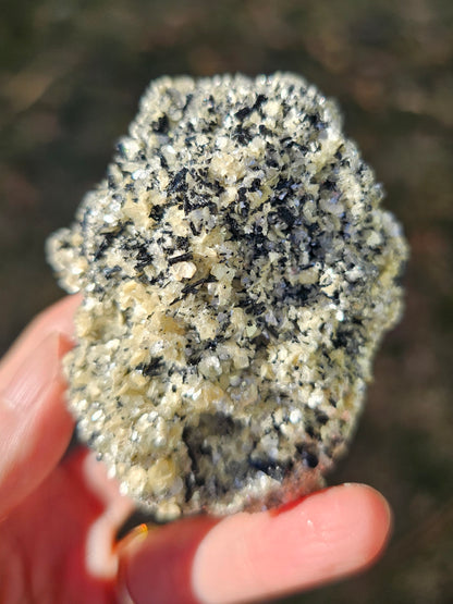 A high-quality raw mineral specimen featuring jet-black Schorl Tourmaline crystals with distinct vertical striations embedded in a textured white Hyalite Opal matrix from Erongo, Namibia.