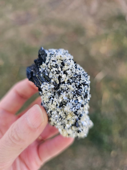 A high-quality raw mineral specimen featuring jet-black Schorl Tourmaline crystals with distinct vertical striations embedded in a textured white Hyalite Opal matrix from Erongo, Namibia.
