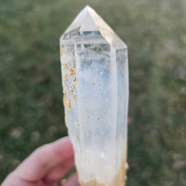 5.5" Colombian Golden Healer & Blue Smoke Quartz | DNA Lemurian Seed Crystal