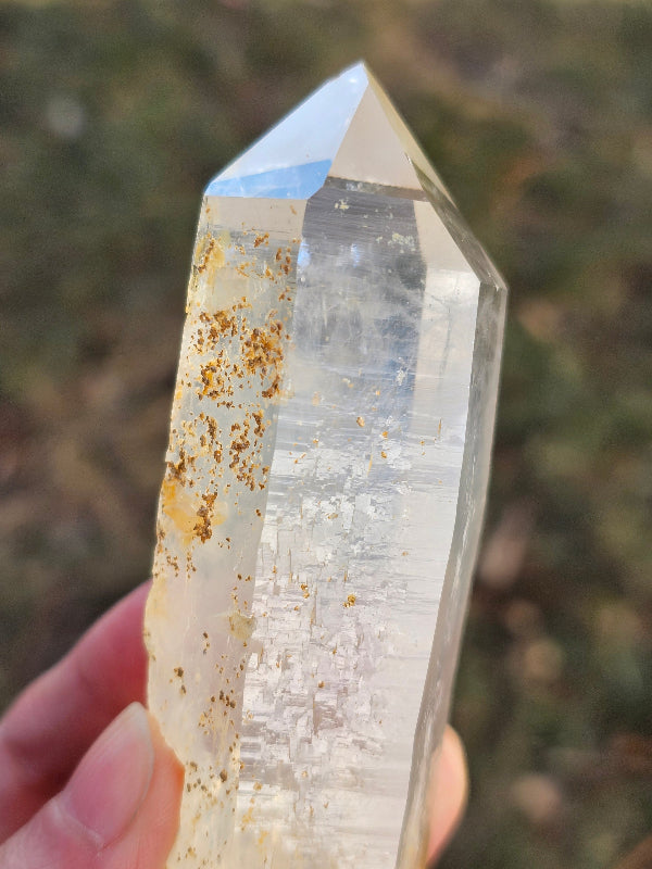 5.5" Colombian Golden Healer & Blue Smoke Quartz | DNA Lemurian Seed Crystal