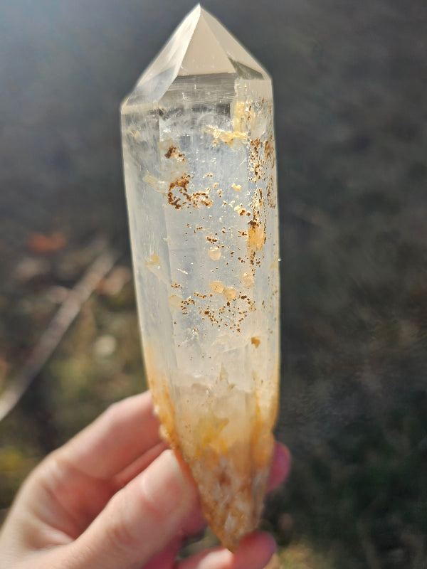 5.5" Colombian Golden Healer & Blue Smoke Quartz | DNA Lemurian Seed Crystal