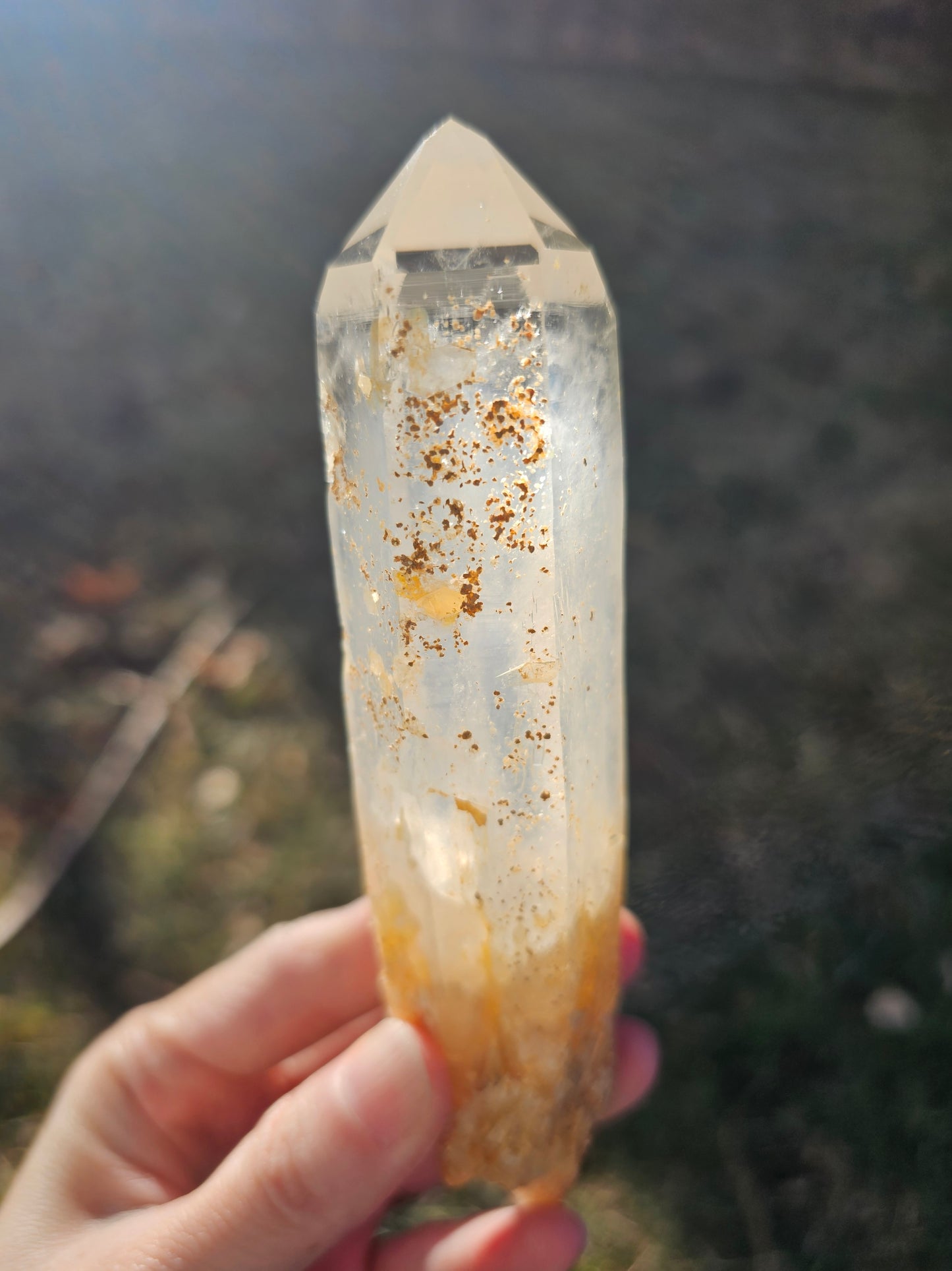 5.5" Colombian Golden Healer & Blue Smoke Quartz | DNA Lemurian Seed Crystal
