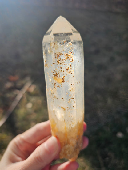 5.5" Colombian Golden Healer & Blue Smoke Quartz | DNA Lemurian Seed Crystal