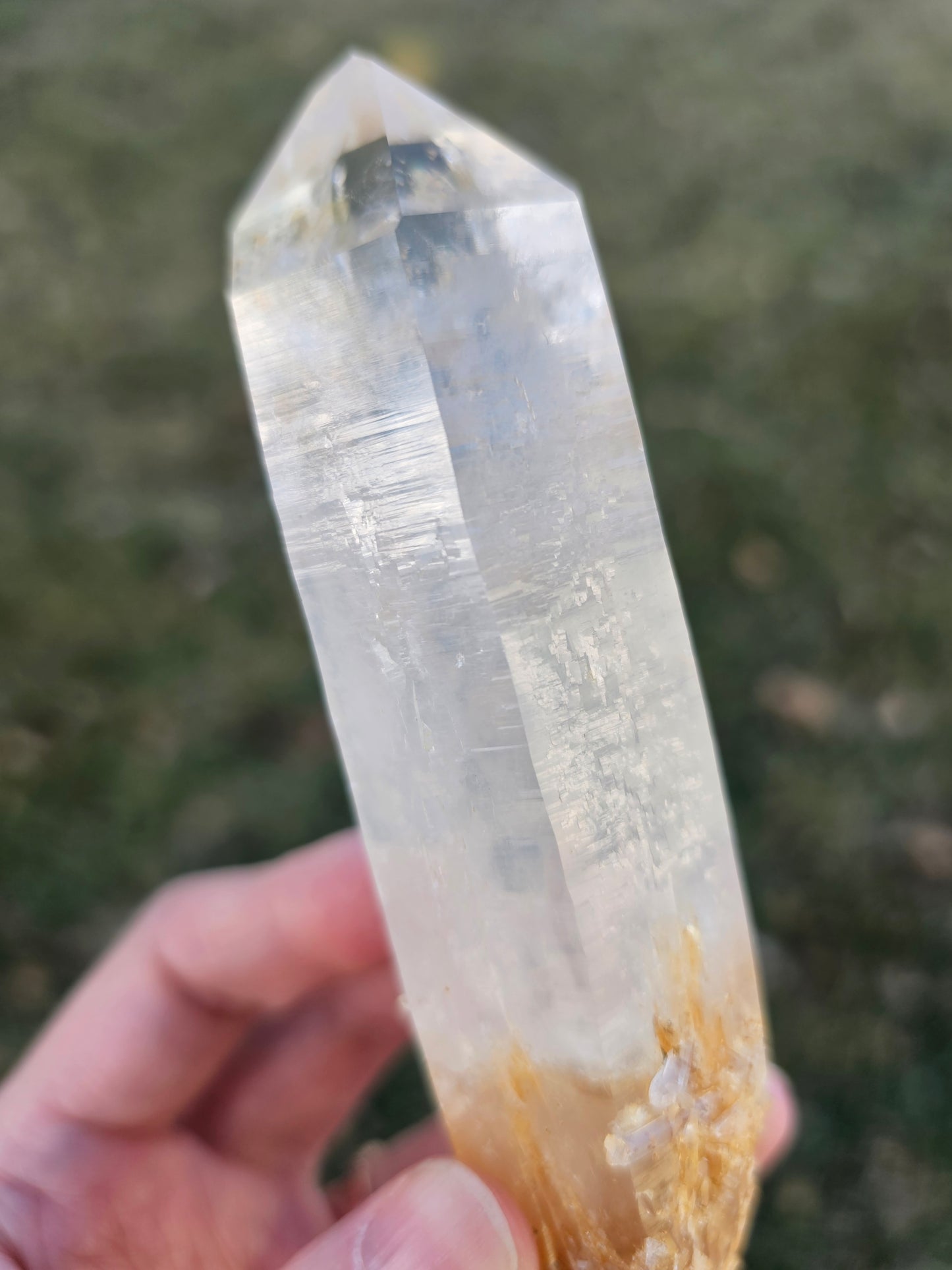 5.5" Colombian Golden Healer & Blue Smoke Quartz | DNA Lemurian Seed Crystal