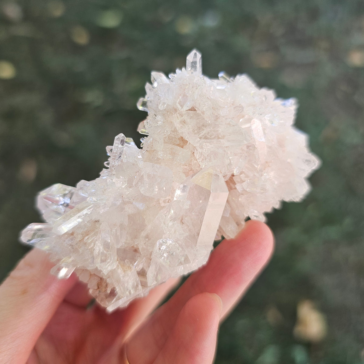 Colombian Pink Lemurian Seed Quartz Cluster 95g
