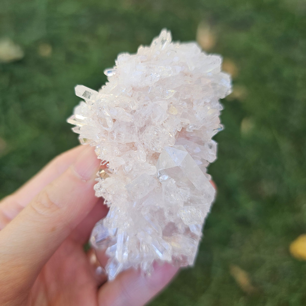Colombian Pink Lemurian Seed Quartz Cluster 95g