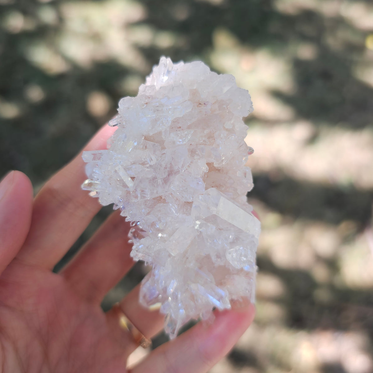 Colombian Pink Lemurian Seed Quartz Cluster 95g