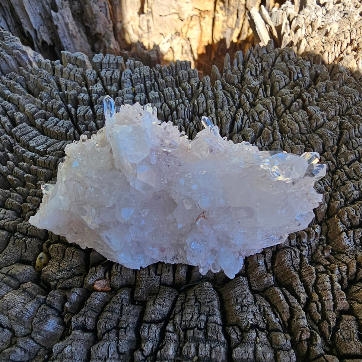 Colombian Pink Lemurian Seed Quartz Cluster 95g