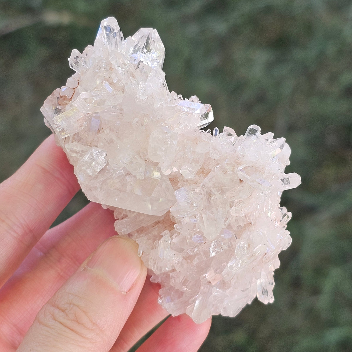 Colombian Pink Lemurian Seed Quartz Cluster 95g