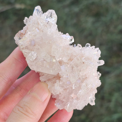 Colombian Pink Lemurian Seed Quartz Cluster 95g